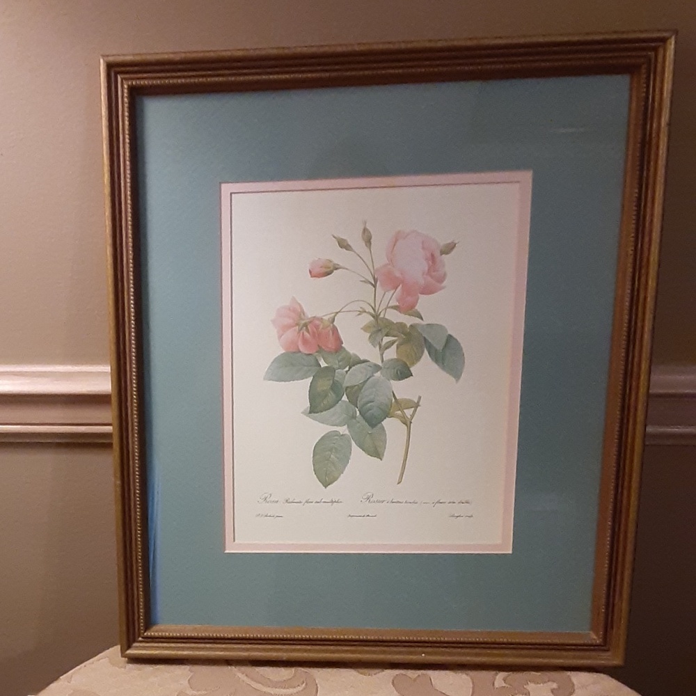 Rose 13 X 15 Framed Wall Art